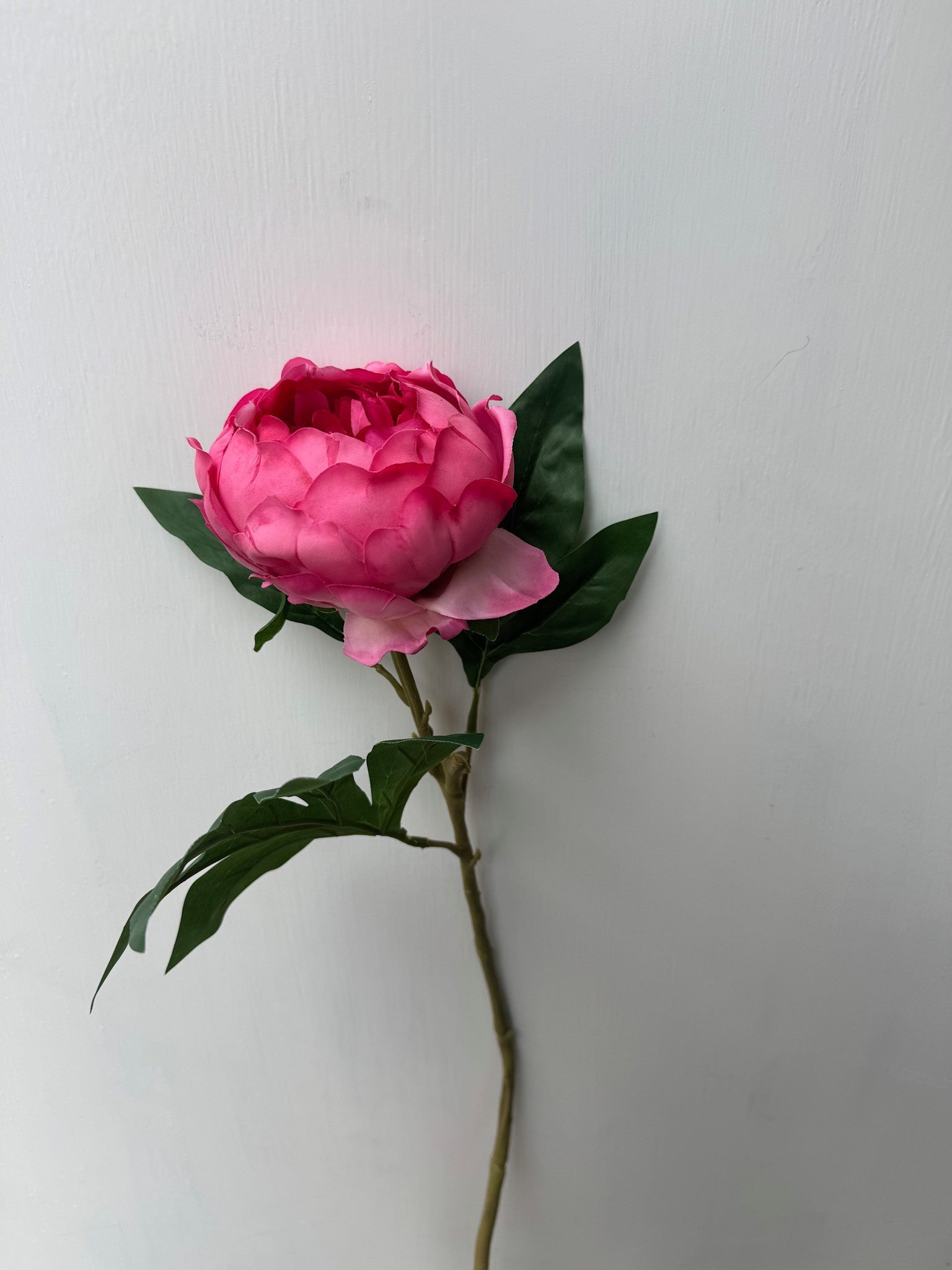 Natural Touch Ruffled Peony (3-Colors) (2-Sizes)