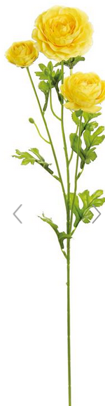 Triple Bloom Ranunculus (3-Colors)