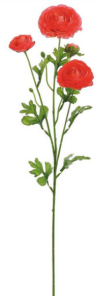 Triple Bloom Ranunculus (3-Colors)