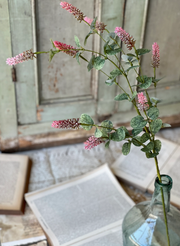 35" Yarrow Bud Stem (4-Colors)