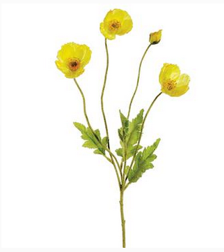 Natural Poppy Spray (4-Colors)
