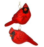6" Glass Cardinal Ornament