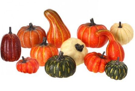 12 Piece Pumpkin Gourd Assortment