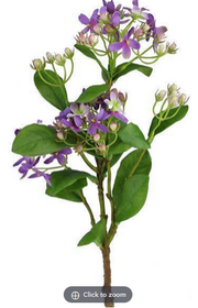 Wild Mini Hydrangea Pick (2-Colors)