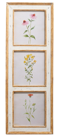 38" Botanical Framed Print (2-Styles)