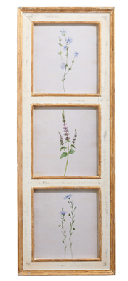 38" Botanical Framed Print (2-Styles)