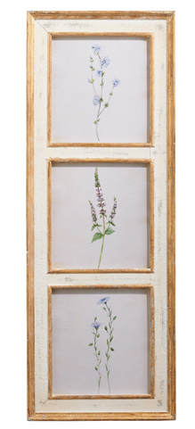 38" Botanical Framed Print (2-Styles)
