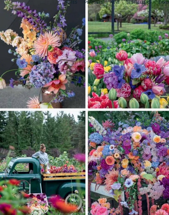 Botanical Beauty in Full Bloom Book