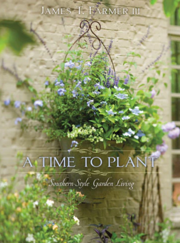 Botanical Beauty in Full Bloom Book