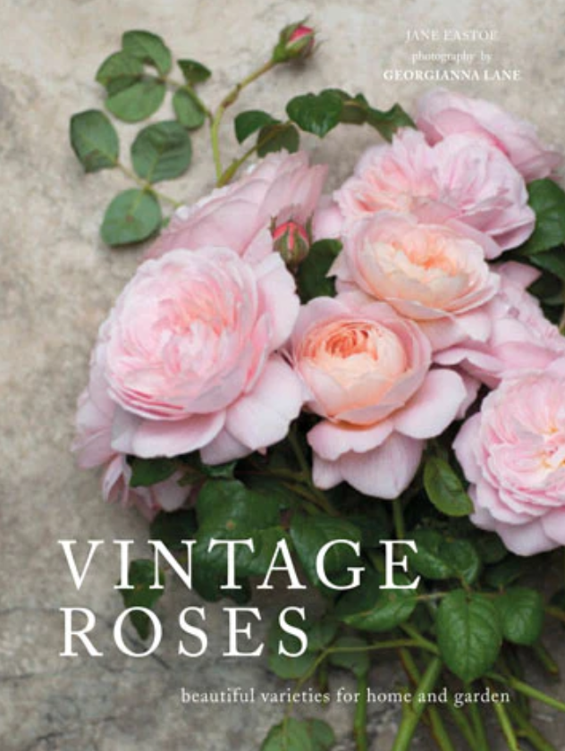 Botanical Beauty in Full Bloom Book