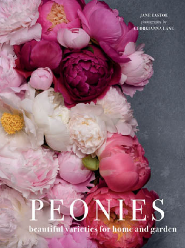 Botanical Beauty in Full Bloom Book