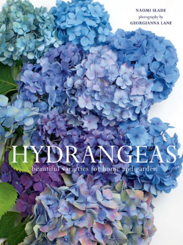 Botanical Beauty in Full Bloom Book