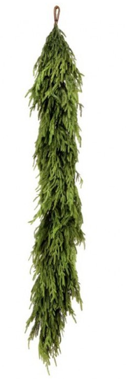 6-ft x 16" Natural Touch Norfolk Pine Garland