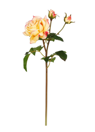 22" Natural Touch Sweet Juliet English Rose (3-Colors)