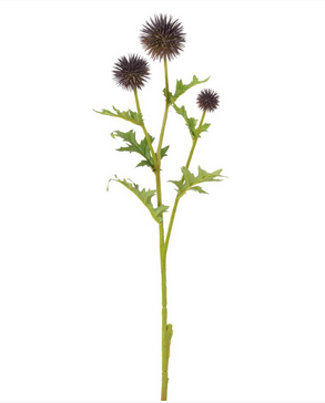 Globe Thistle Spray (2-Colors)