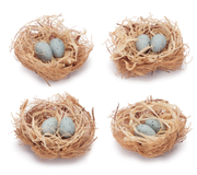 Mini Nest w/ Blue Eggs