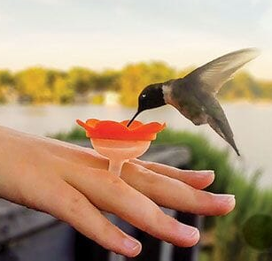 Hummingbird Ring Feeder Set