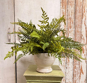 Custom Mixed Fern in White Distressed Container