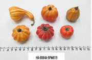 Large Pumpkin Gourd Assortment