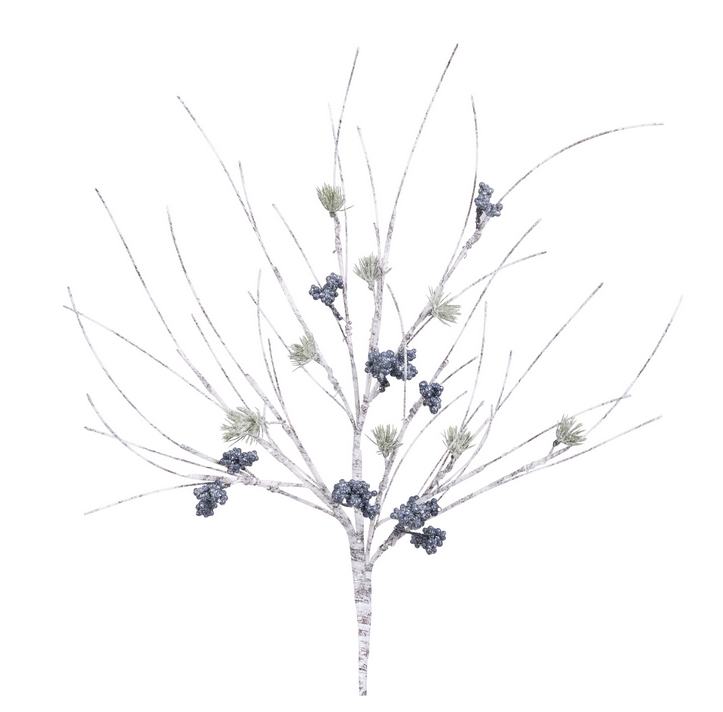 Birch Blue Berry Pine Branch