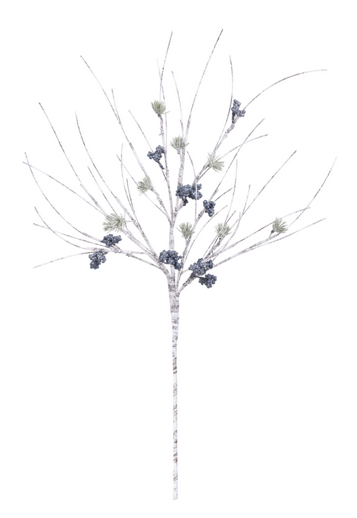Birch Blue Berry Pine Branch