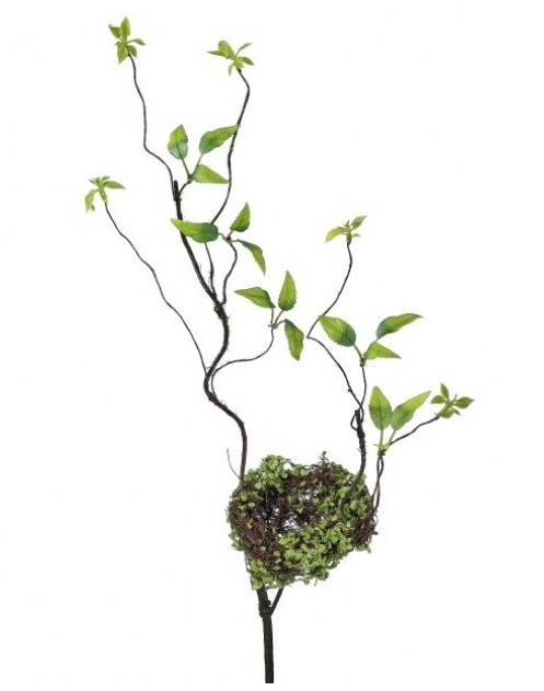Wild Smilax Stem w/ Nest
