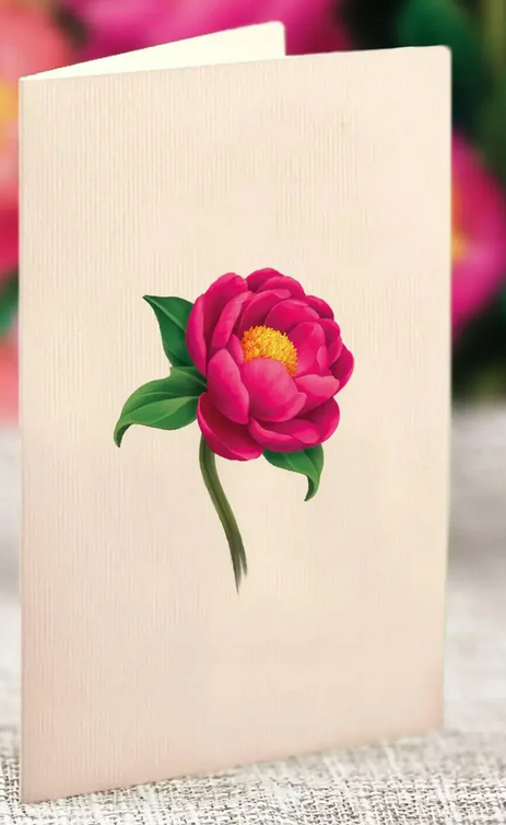 Freshcut Paper Mini Pop Up Card (4-Styles)