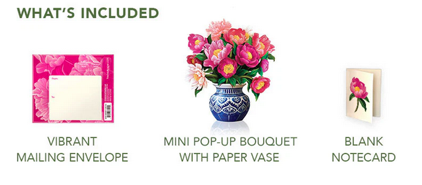 Freshcut Paper Mini Pop Up Card (4-Styles)
