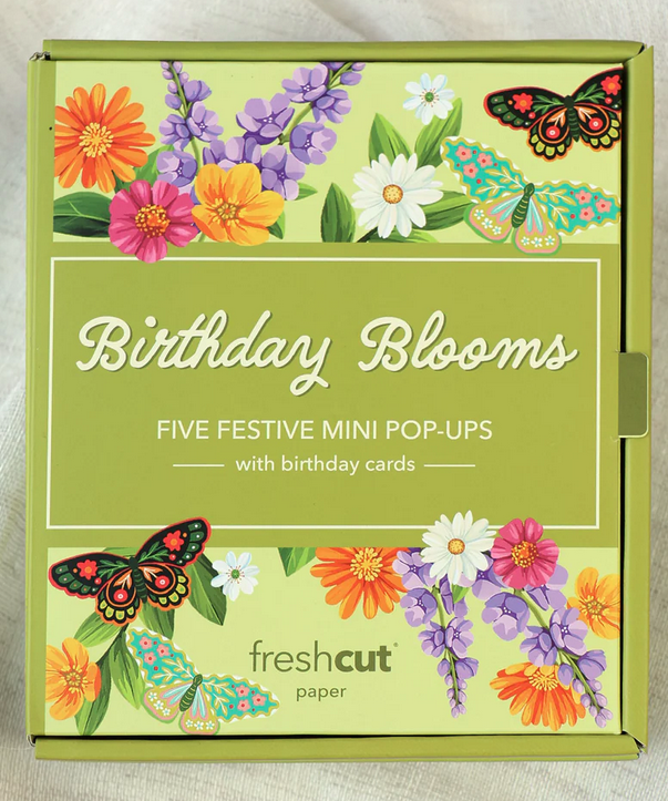 Freshcut Paper Mini Box Set of 5 (2-Styles)