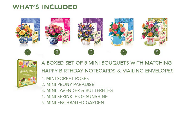 Freshcut Paper Mini Box Set of 5 (2-Styles)