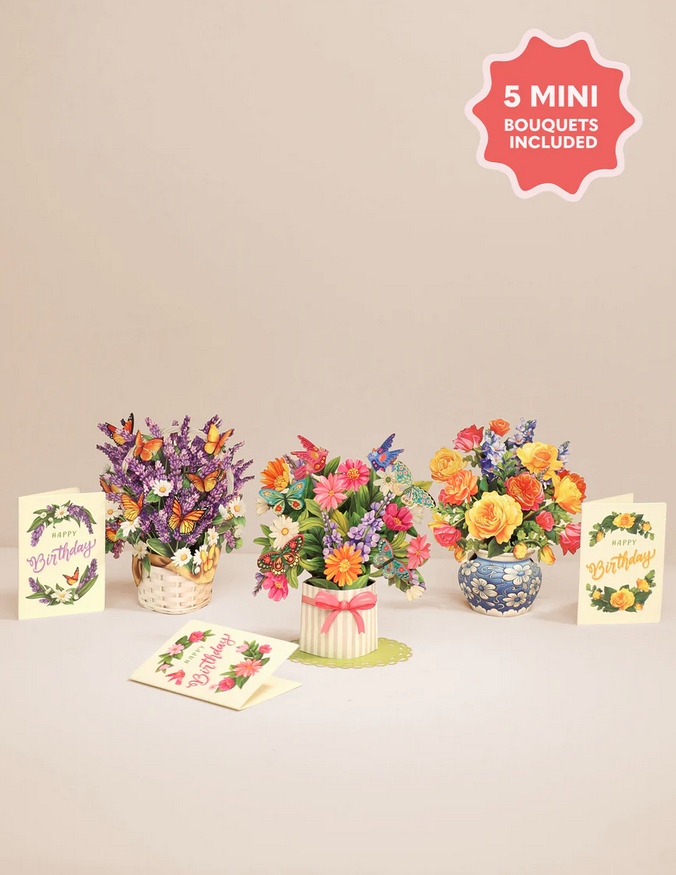 Freshcut Paper Mini Box Set of 5 (2-Styles)