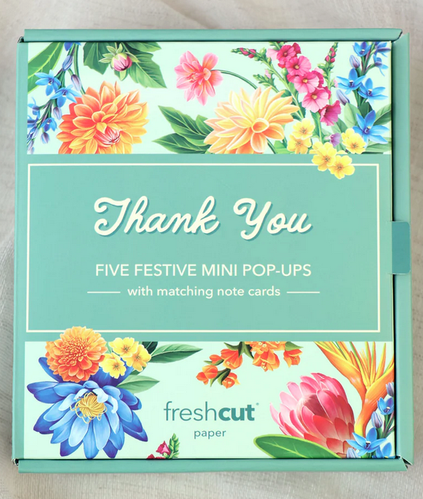 Freshcut Paper Mini Box Set of 5 (2-Styles)