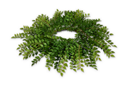 18" Natural Ruscus Candle Ring