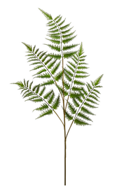 42.5" Large Fern Spray