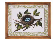 13.75" Tiny Treasures Framed Art (2-Styles)