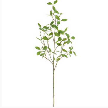 Banyan Leaf Spray