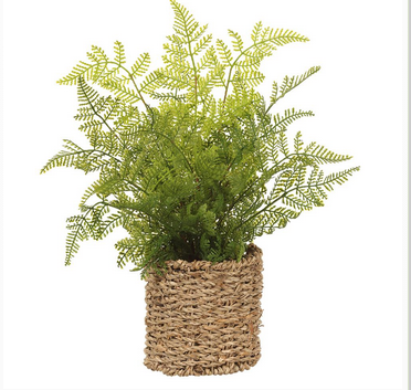 15" Leather Fern in Basket
