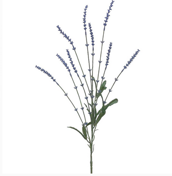 Blue Lavender Spray