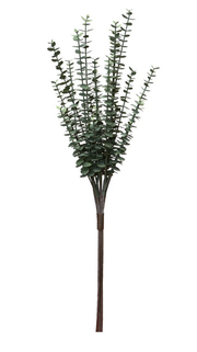 Mini Eucalyptus Spray Bundle