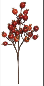 16" Rosehip Pick