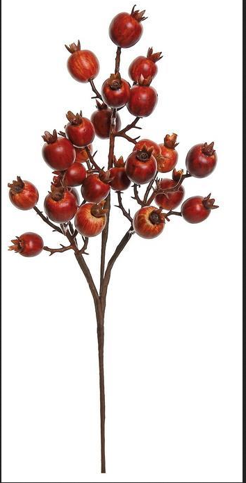 16" Rosehip Pick