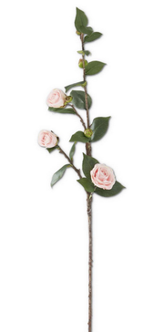 30" Pink Camellia Stem