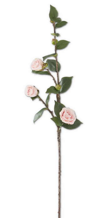 30" Pink Camellia Stem