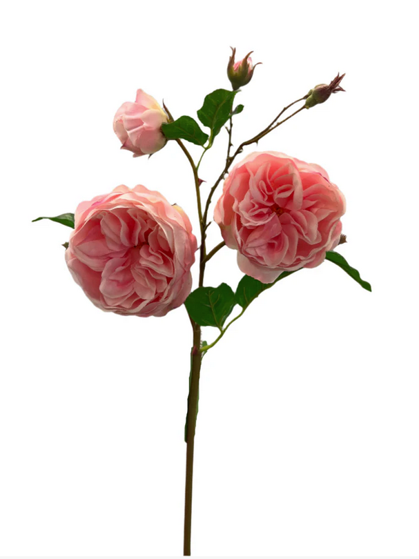Natural Touch Cabbage Rose (3-Colors)