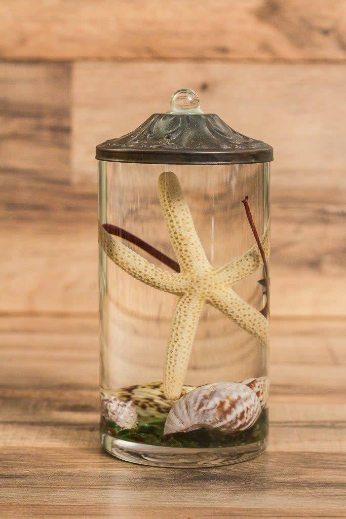 Seashell Lifetime Candle (9-Styles)