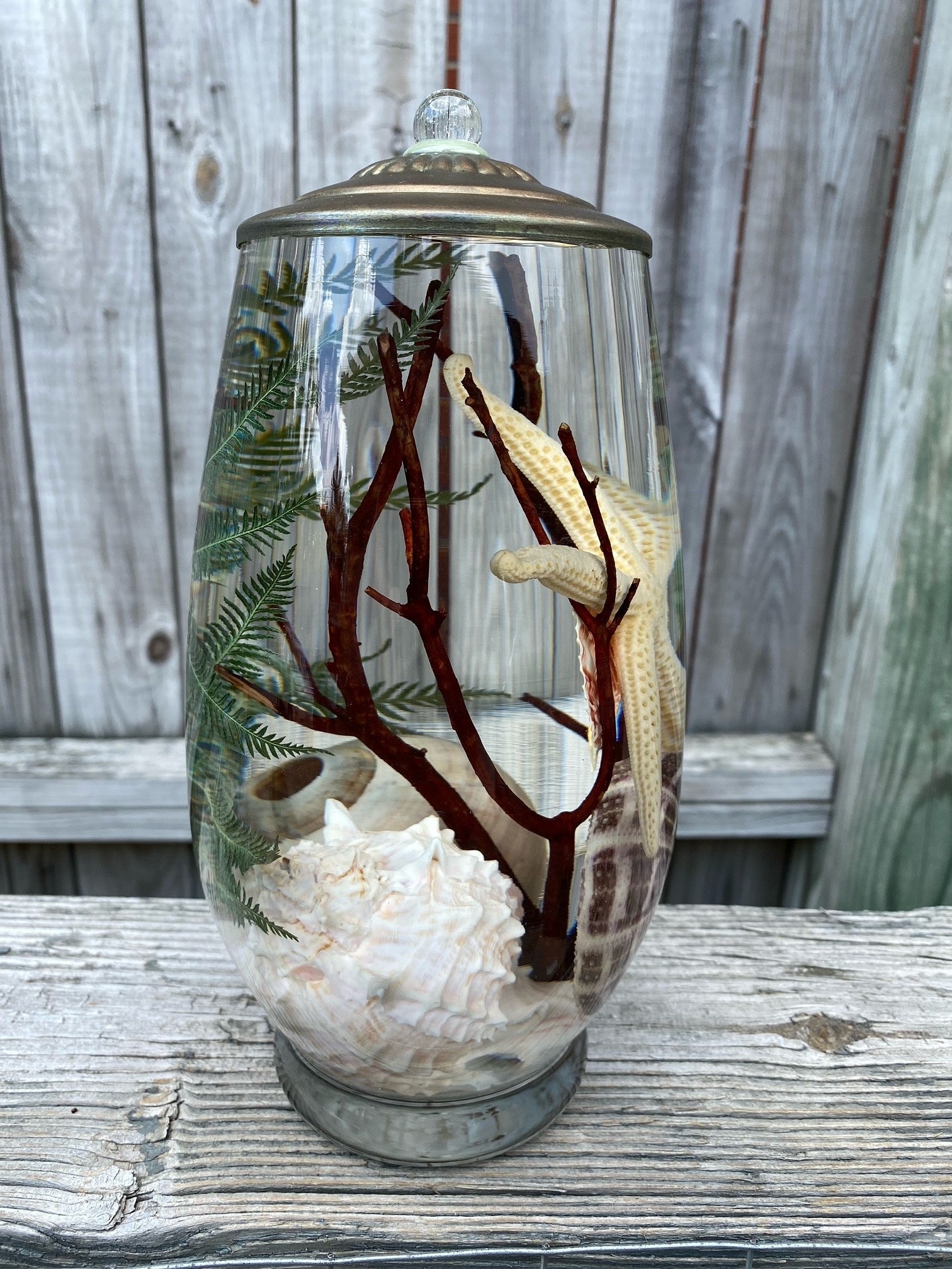 Seashell Lifetime Candle (9-Styles)