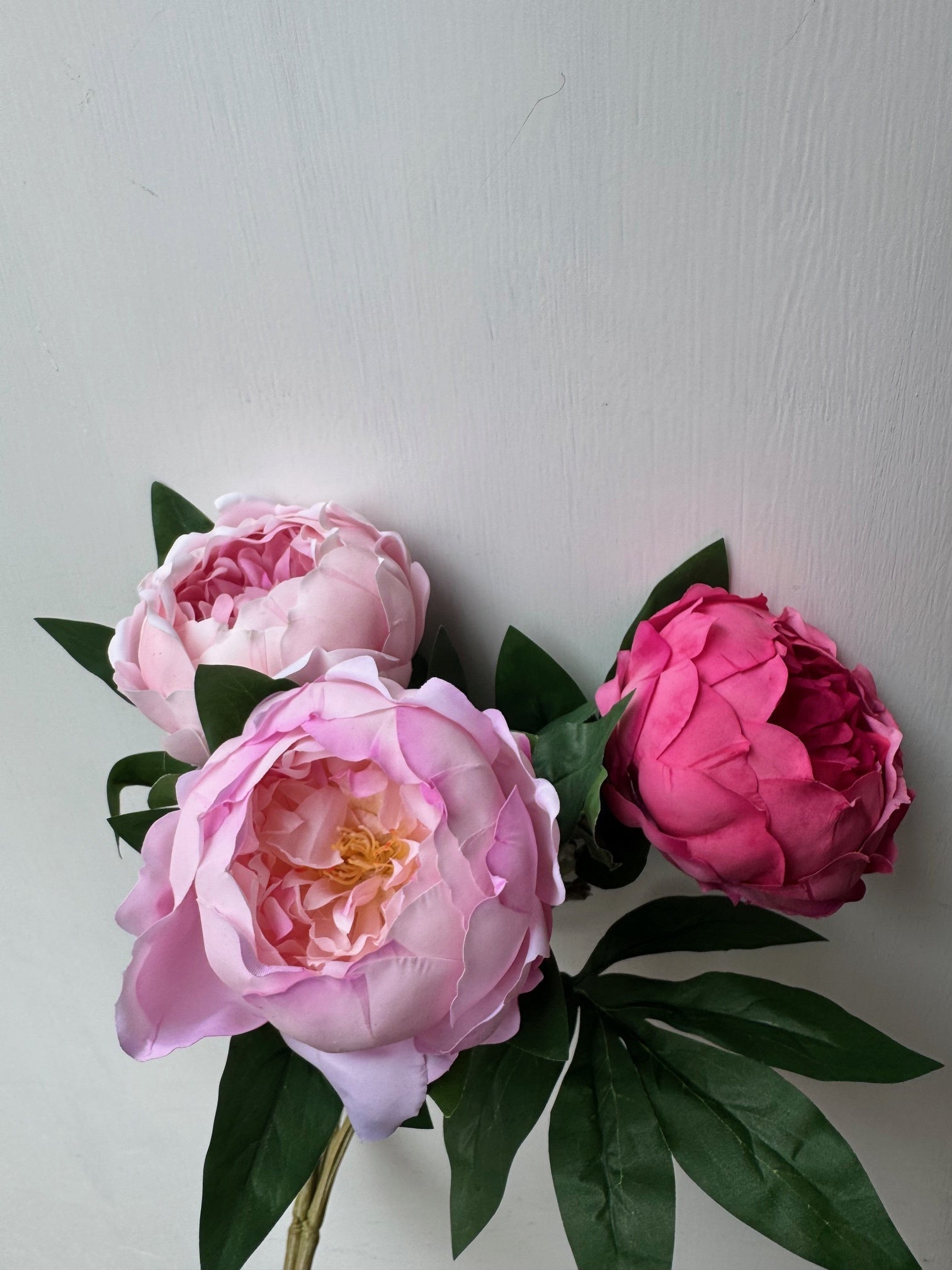 Natural Touch Ruffled Peony (3-Colors) (2-Sizes)
