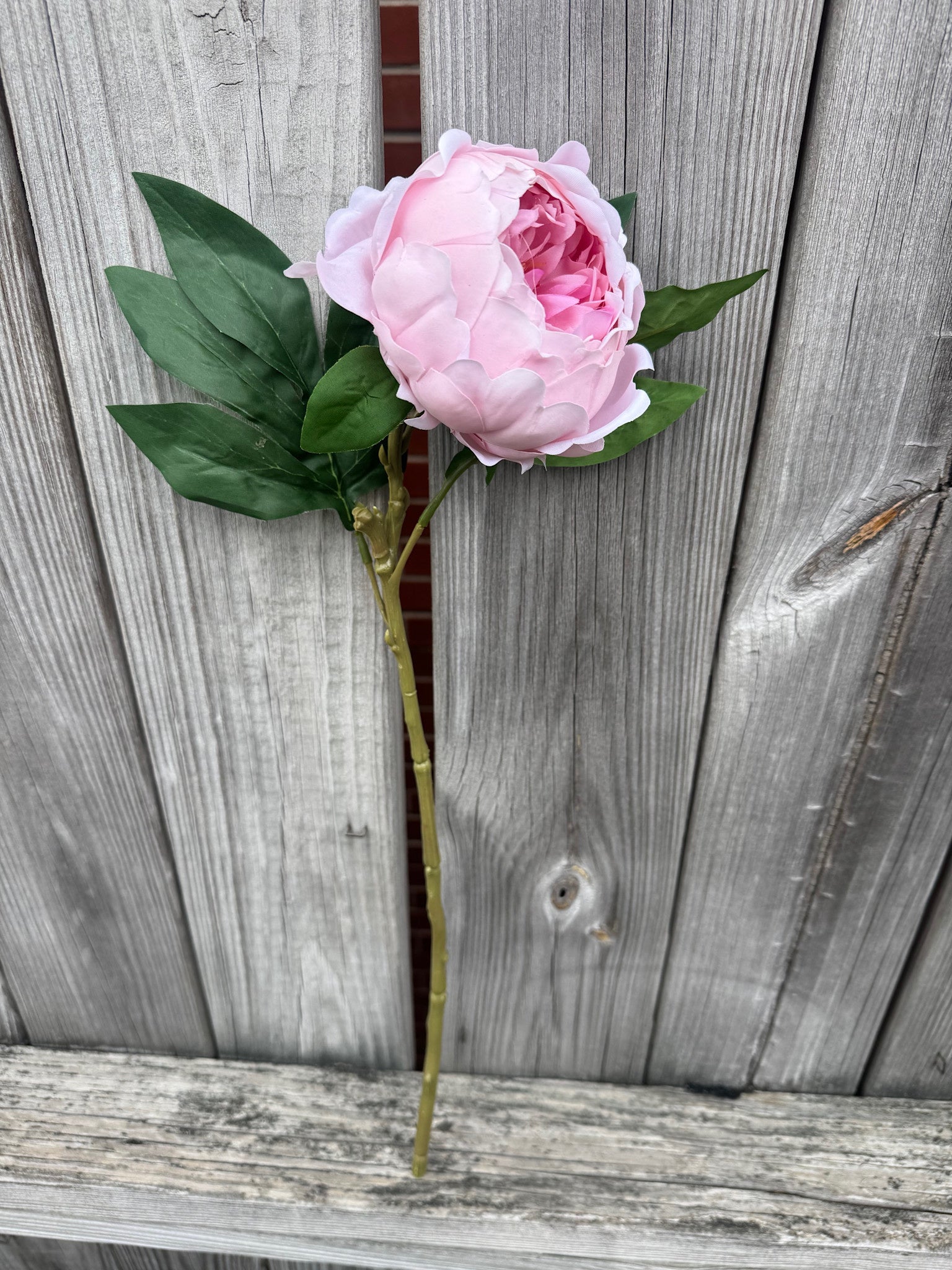 Natural Touch Ruffled Peony (3-Colors) (2-Sizes)