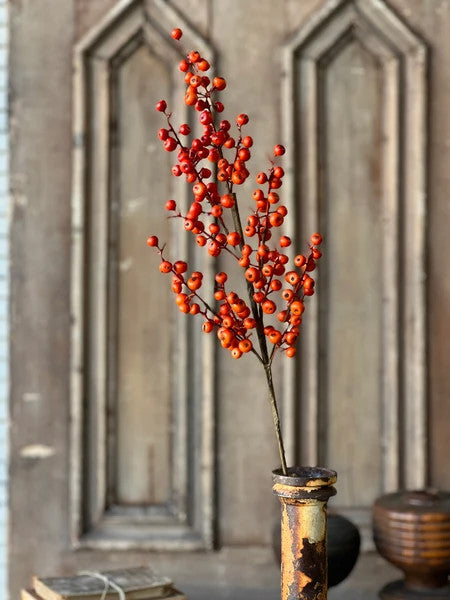 Fall Emberfruit Spray