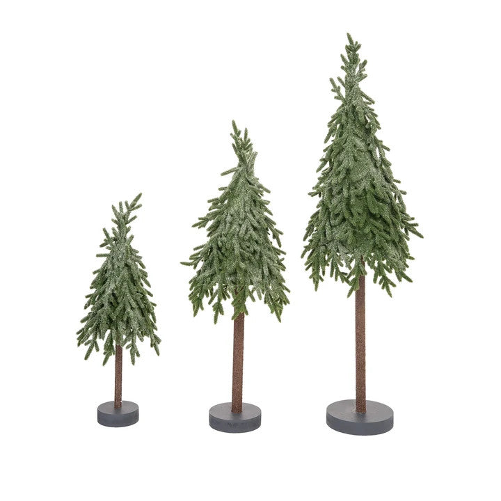 Set of 3 Norfolk Pine Trees